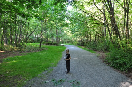 Dumas Bay Park