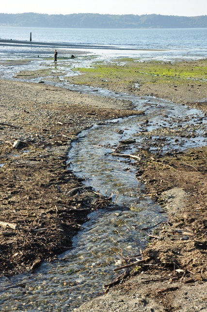 Dumas Bay Park