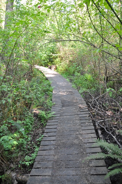 fauntleroy park trail