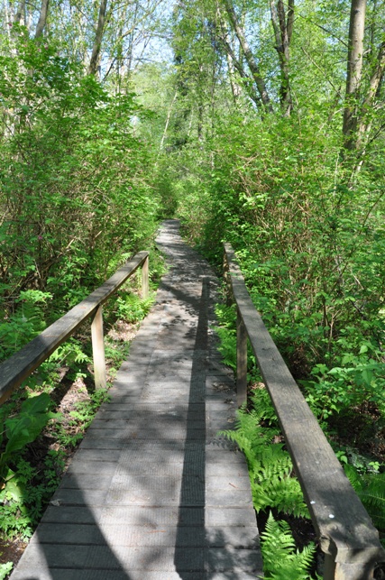 fauntleroy park trail