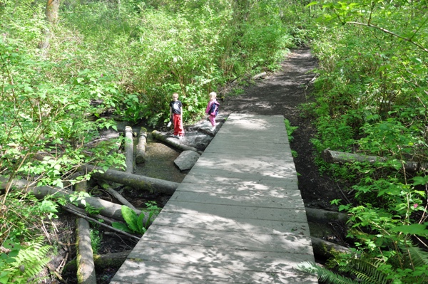 Fauntleroy Creek