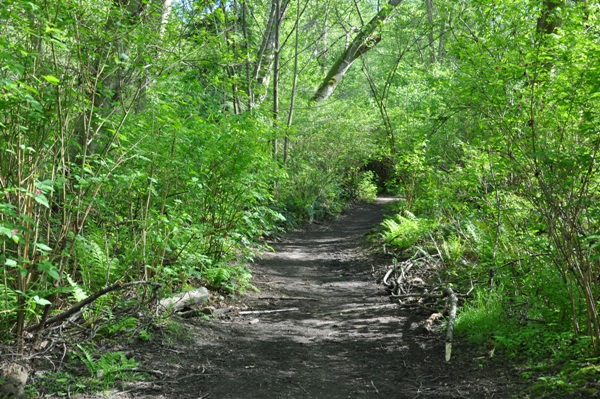 fauntleroy park trail