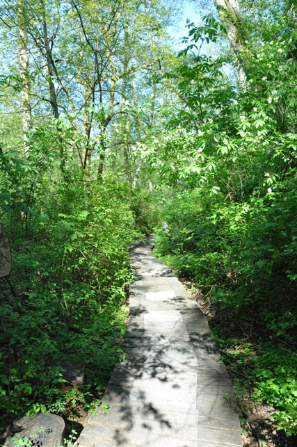 fauntleroy park trail