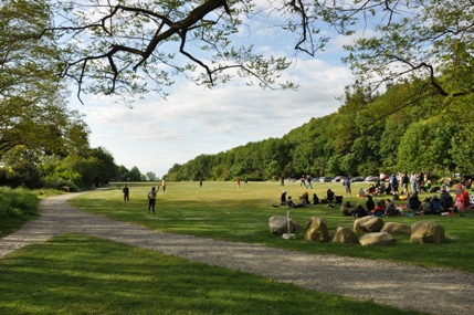 Golden Gardens Park 