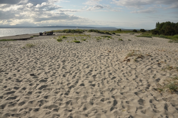 Golden Gardens Park 