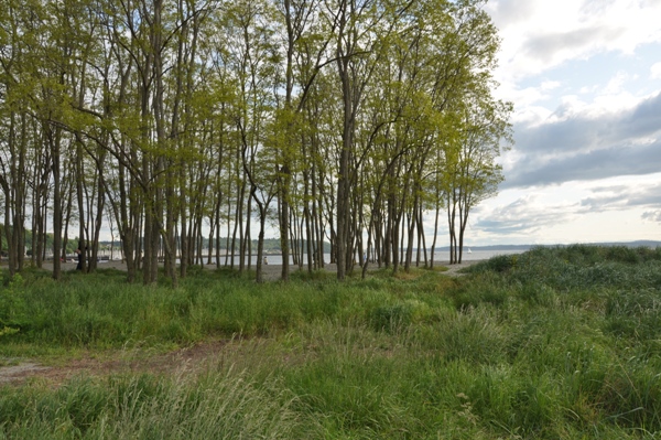 Golden Gardens Park 