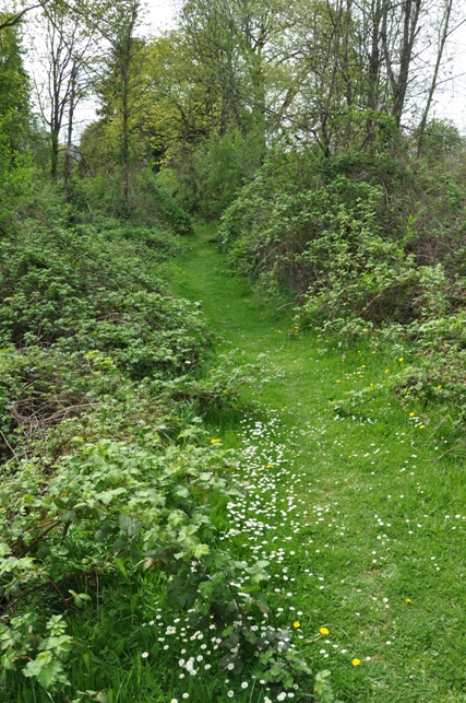 hilltop park trail