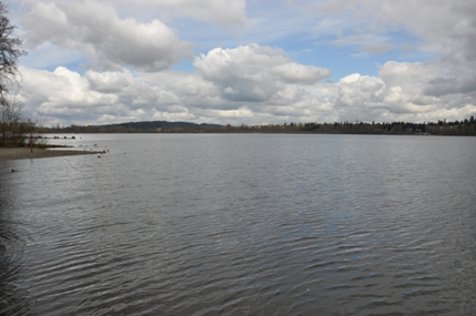 Lake Sammamish