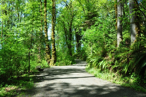 Kopachuck State Park