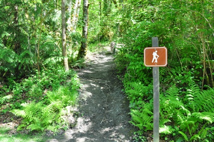 Kopachuck State Park