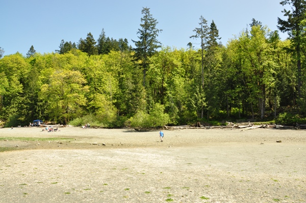 Kopachuck State Park