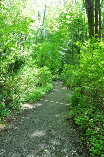 Kopachuck State Park