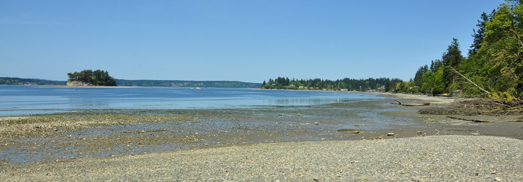 Kopachuck State Park beach 