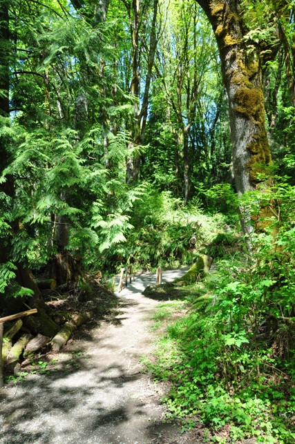 Kopachuck State Park