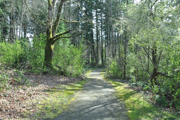 walking trail