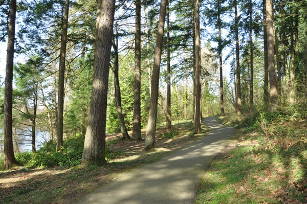 Walking trail 