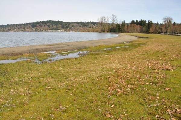 Lake Sammamish State Park