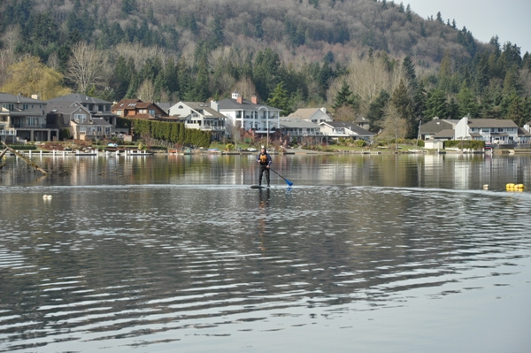 Paddleboarder