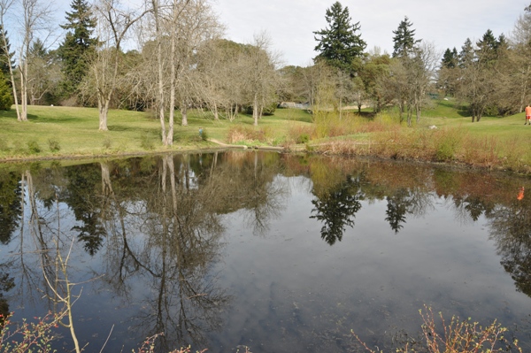 lakewood park pond
