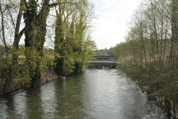 Cedar River 