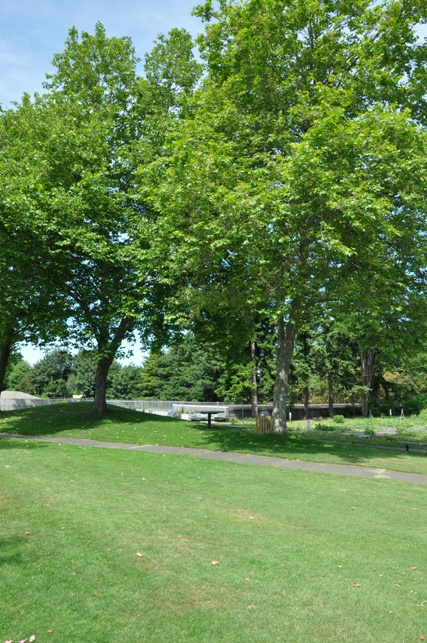 marvista park