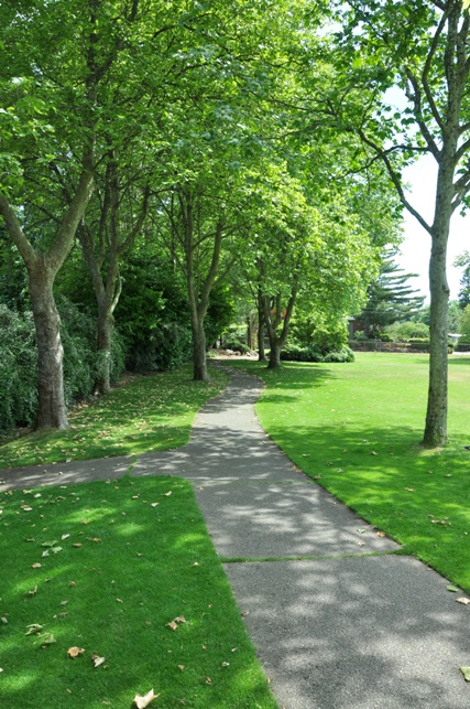 Marvista Park 