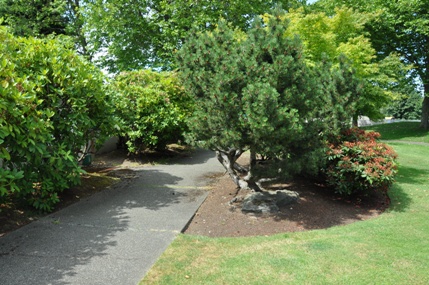 marvista park