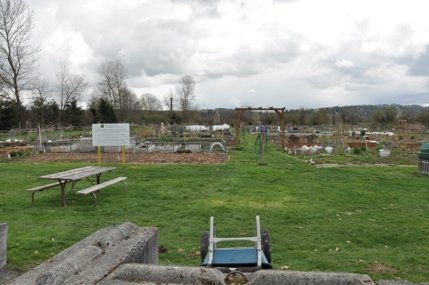 Community Garden