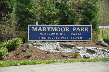 Marymoor Park 