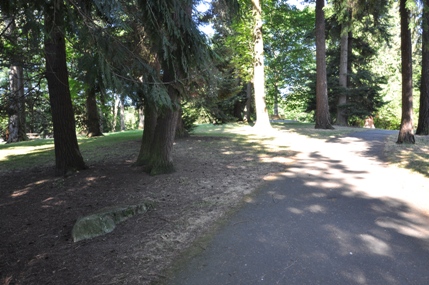 Matthews Beach trail