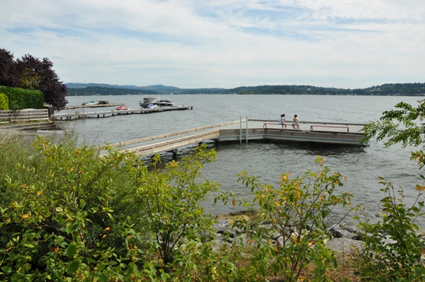 Medina Beach dock