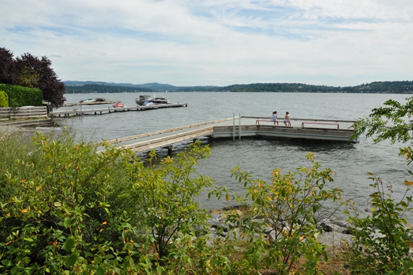 Medina Beach dock