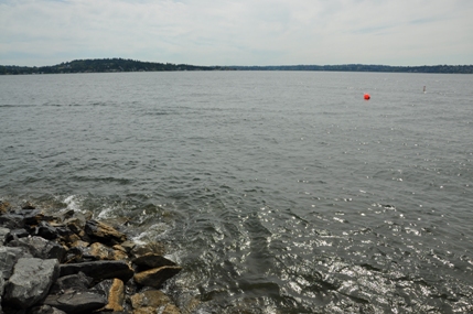 lake washington