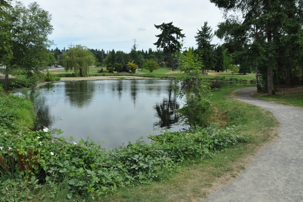 Medina Park