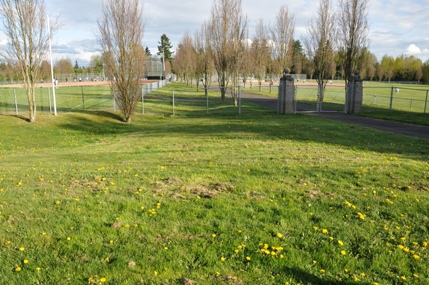 north_seatac_park.jpg