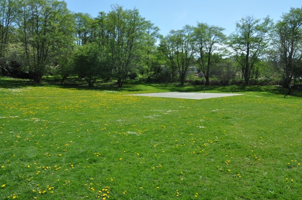 north shorewood park