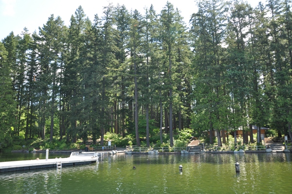 pine lake park