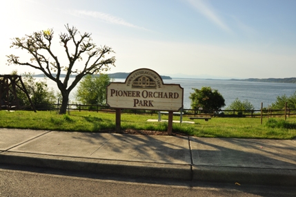 Pioneer Orchard Park sign