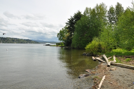 Lake Washington 