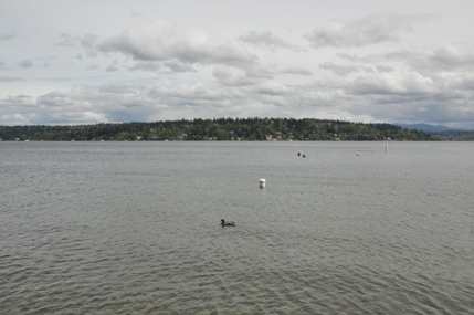 Mercer Island 