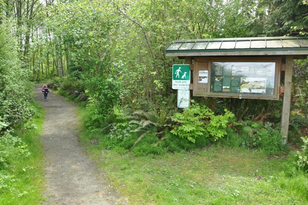 Pritchard Wetlands trail