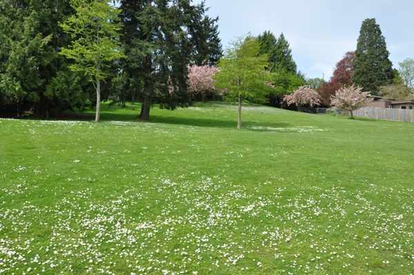 Pritchard Beach Park