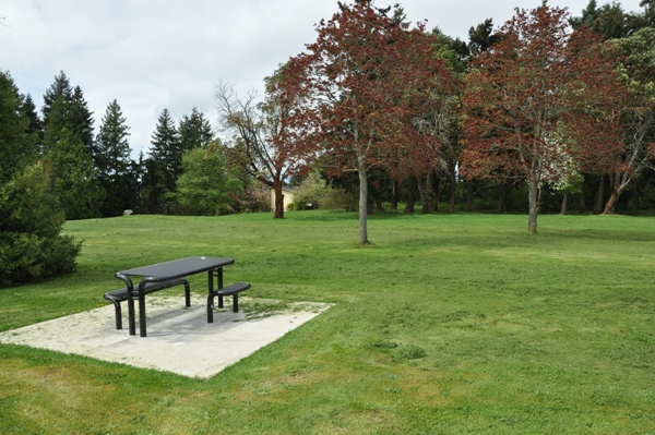 Salmon Creek Park