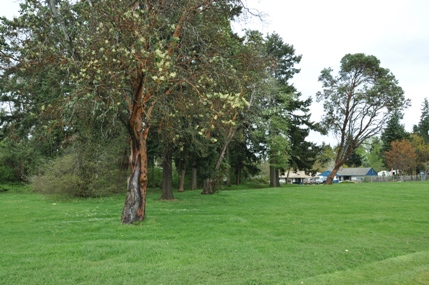 Salmon Creek Park