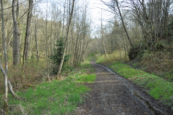 Salmon Creek Trail