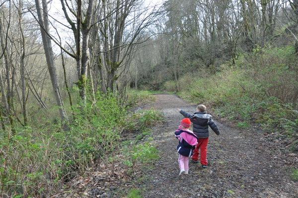 Salmon Creek Trail