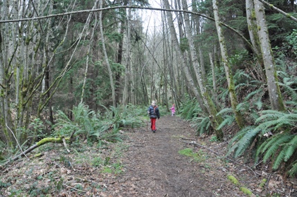 Salmon Creek Trail