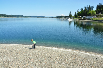 fox island sand spit