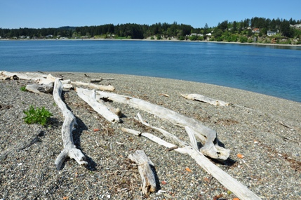 fox island sand spit