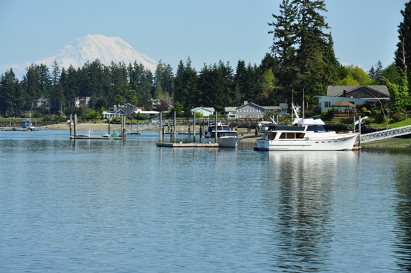 Mount Rainier 